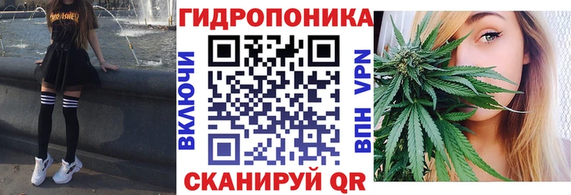Бошки марихуана планчик  дарнет шоп  площадка состав  Нефтегорск 
